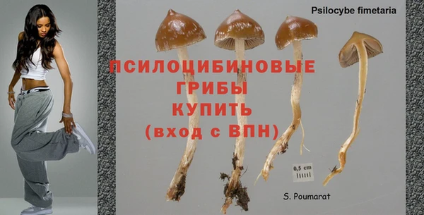 mdma Горняк