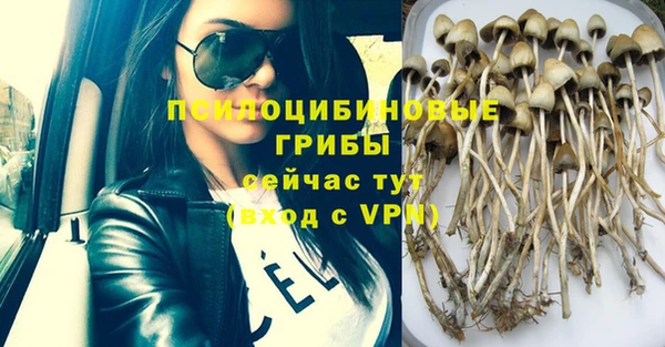 MDMA Premium VHQ Горнозаводск