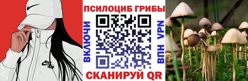 Галлюциногенные грибы GOLDEN TEACHER  Уфа 